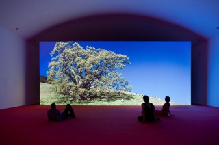 Philipe Parreno at the Australian Center for the Moving Image, Melbourne