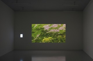 Philippe Parreno at Galerie für Zeitgenössische Kunst, Leipzig, Germany